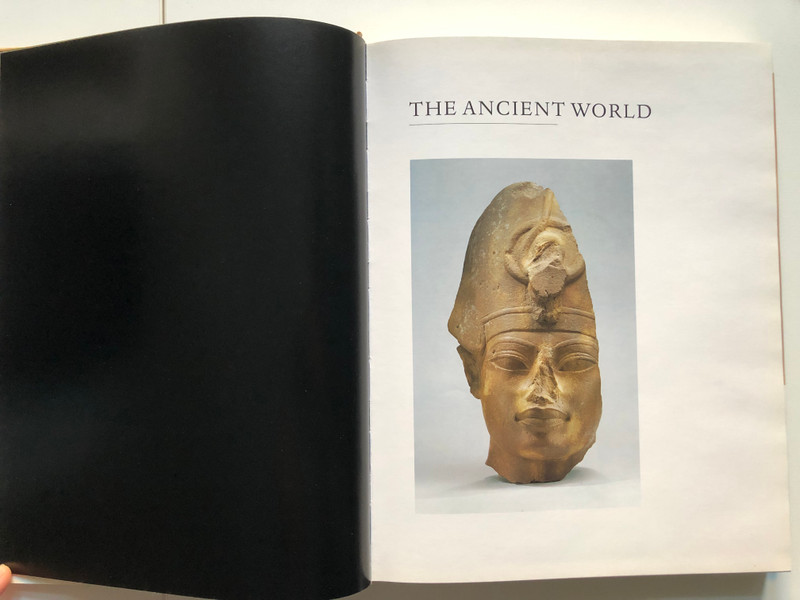 Masterpieces from the Metropolitan Museum of Art  Author Barbara Burn  Hardcover 1994 (9780870996771)