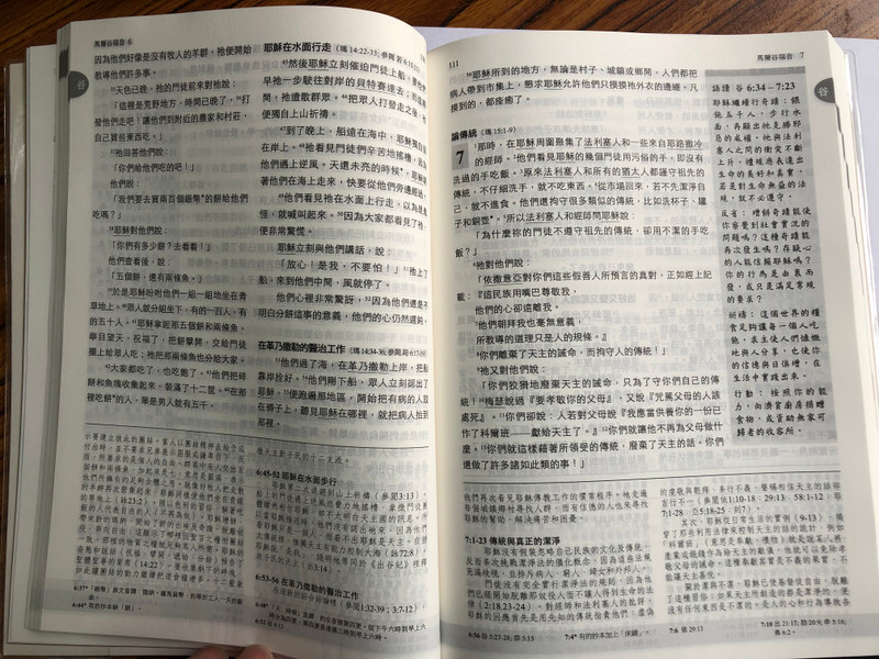 Chinese Catholic New Testament of Our People / Study New Testament / Study Note Source from La Biblia de Nuestro Pueblo (9789996599071)