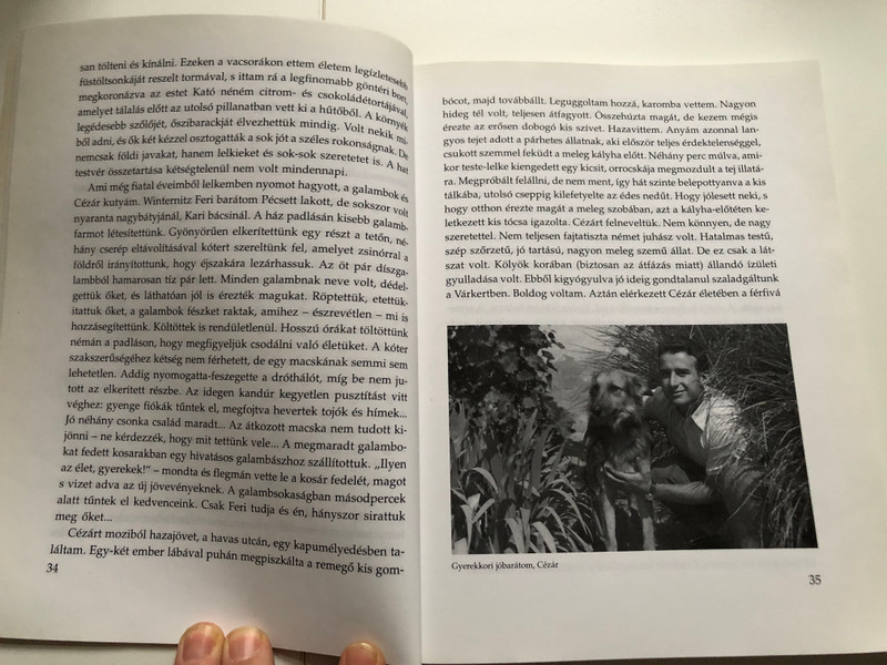 GYÖKEREK, ÁGAK, LEVELEK  Sólyom-Nagy Sándor vallomása pályájáról, életéről  HOLNAP KIADÓ, BUDAPEST  Paperback (9789633462645) 