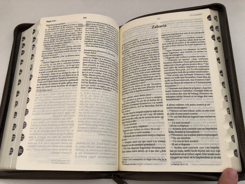 Biblia - The Bible, New Romanian Translation / The new revised translation in Romanian (NTR) / CIP description of the National Library of Romania / Published and distributed by Interconfessional Bible Society from Romania (9786068279800)