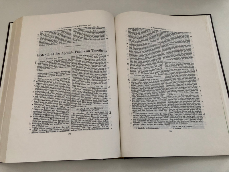 Die Heilige Schrift des Alten und Neuen Testaments - The Holy Scriptures of the Old and New Testaments / German Edition by Wilhelm Martin Leberecht de Wette / New edition of the original translation by Franz Eugen Schlachter