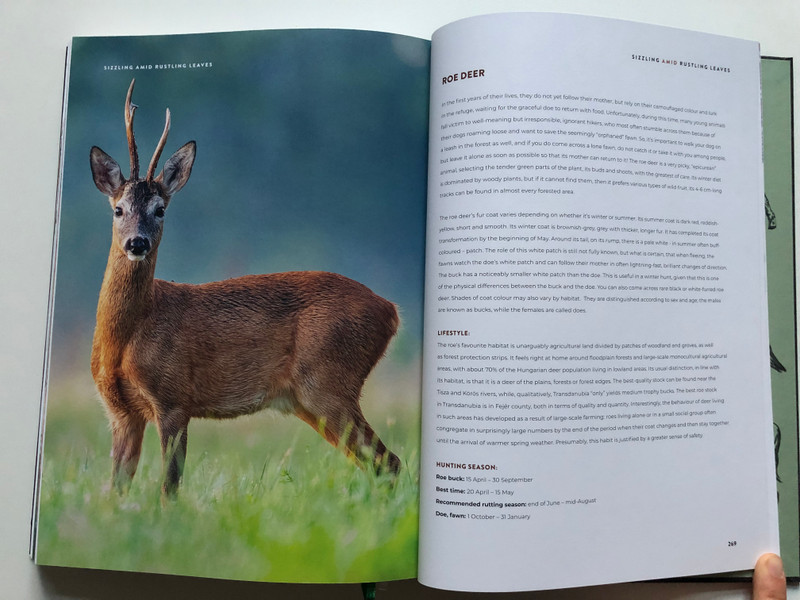 SIZZLING AMID RUSTLING LEAVES  VIKTOR SEGAL, JOE VIDA  ADVENTURES IN FOREST GASTRONOMY WITH QUOTES FROM ZSIGMOND SZÉCHENYI  PANNON Publishing 2021  Hardcover (9786150106526)