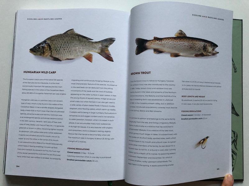 SIZZLING AMID RUSTLING LEAVES  VIKTOR SEGAL, JOE VIDA  ADVENTURES IN FOREST GASTRONOMY WITH QUOTES FROM ZSIGMOND SZÉCHENYI  PANNON Publishing 2021  Hardcover (9786150106526)