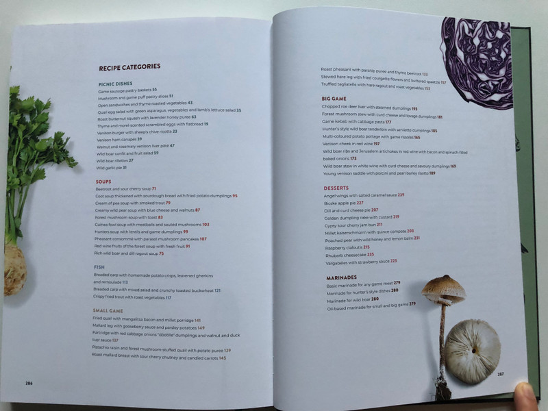 SIZZLING AMID RUSTLING LEAVES  VIKTOR SEGAL, JOE VIDA  ADVENTURES IN FOREST GASTRONOMY WITH QUOTES FROM ZSIGMOND SZÉCHENYI  PANNON Publishing 2021  Hardcover (9786150106526)