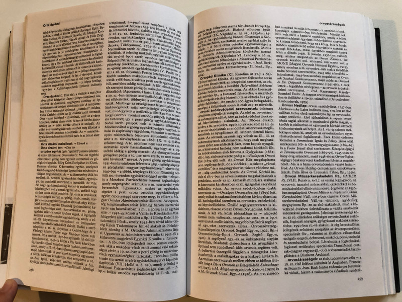 BUDAPEST LEXIKON - MÁSODIK KÖTET L-Z / második, bővített, átdolgozott kiadás / AKADÉMIAI KIADÓ, BUDAPEST, 1993 / Hardcover (9630564114)