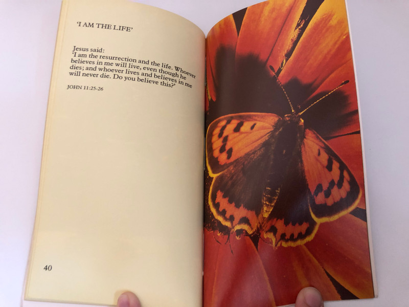 Words of Life: Good News Bible / Extracts from the Bible with full-colour photographs / Published by Lion Publishing