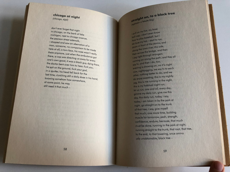 Andras Petocz In a Row of Sunlight  Translated by Nathaniel Barratt  Modern Hungarian Poetry  A napsütötte sávban (Hungarian Original Title)  Corvina Kiado 2008  Paperback (9789631356922)