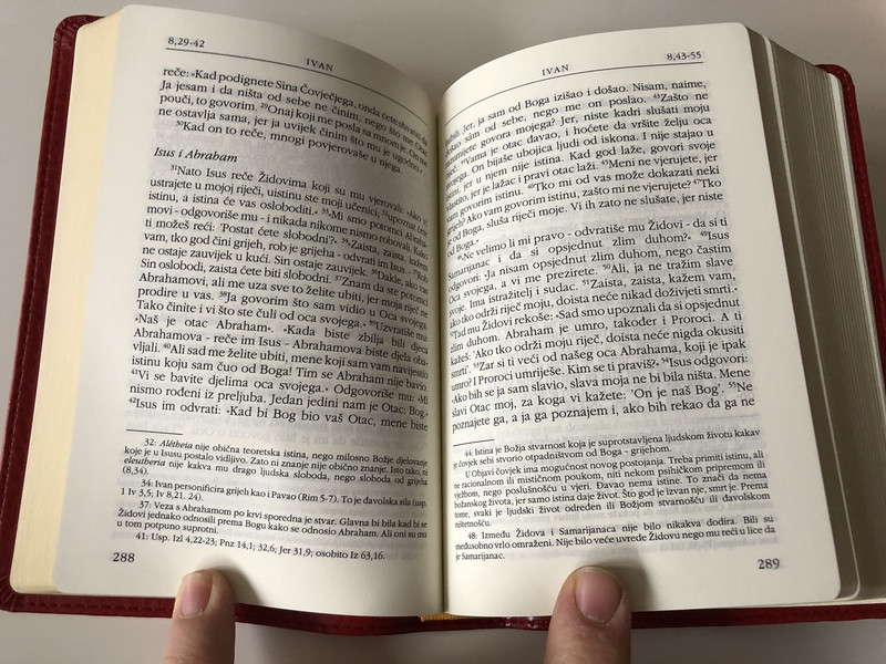 Novi Zavjet i Psalmi / The New Testament and The Book of Psalms in Croatian Language / Red / Leather bound / Golden Edges / HBD 2008 / Translated from original languages by Lj. Rupčić (9789536709649