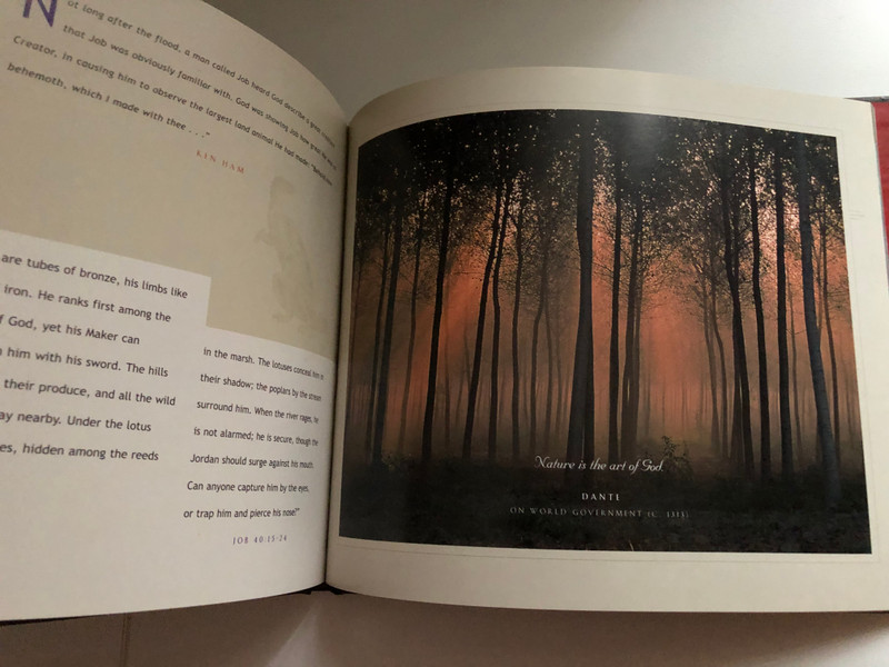 The Wonder of It All: The Creation Account According to the Book of Job / This book tells a wonderfully old story in a totally new way / Published by New Leaf Publishing Group (0892214937 )