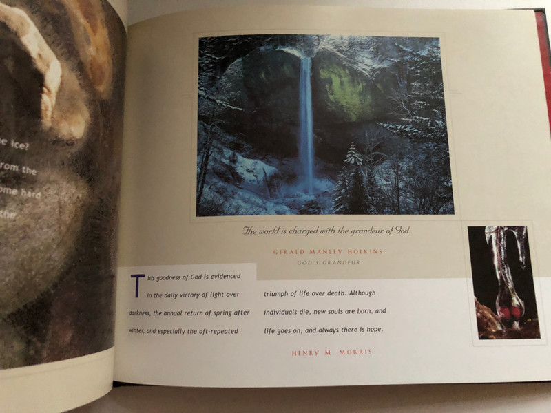 The Wonder of It All: The Creation Account According to the Book of Job / This book tells a wonderfully old story in a totally new way / Published by New Leaf Publishing Group (0892214937 )