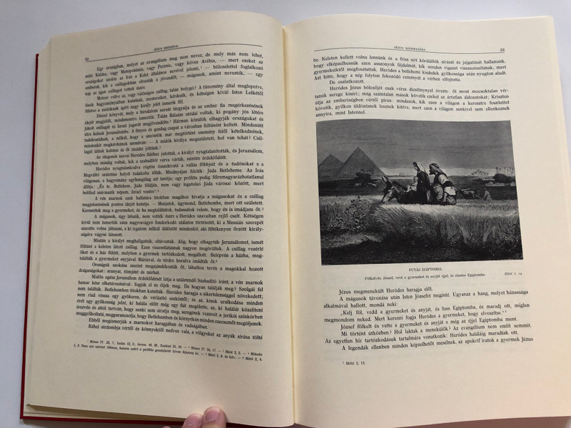 Jézus Krisztus (hasonmás) - P. Didon  BUDAPEST, 1896  FRANCIA EREDETIBOL FORDÍTOTTAK - DR KISS JÁNOS ÉS SULYOK ISTVÁN CSANÁD-EGYHÁZMEGYEI ALDOZÓPAPOK  Hardcover (9637760849)