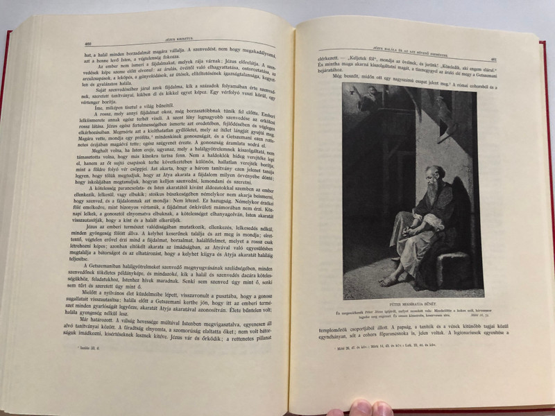 Jézus Krisztus (hasonmás) - P. Didon  BUDAPEST, 1896  FRANCIA EREDETIBOL FORDÍTOTTAK - DR KISS JÁNOS ÉS SULYOK ISTVÁN CSANÁD-EGYHÁZMEGYEI ALDOZÓPAPOK  Hardcover (9637760849)