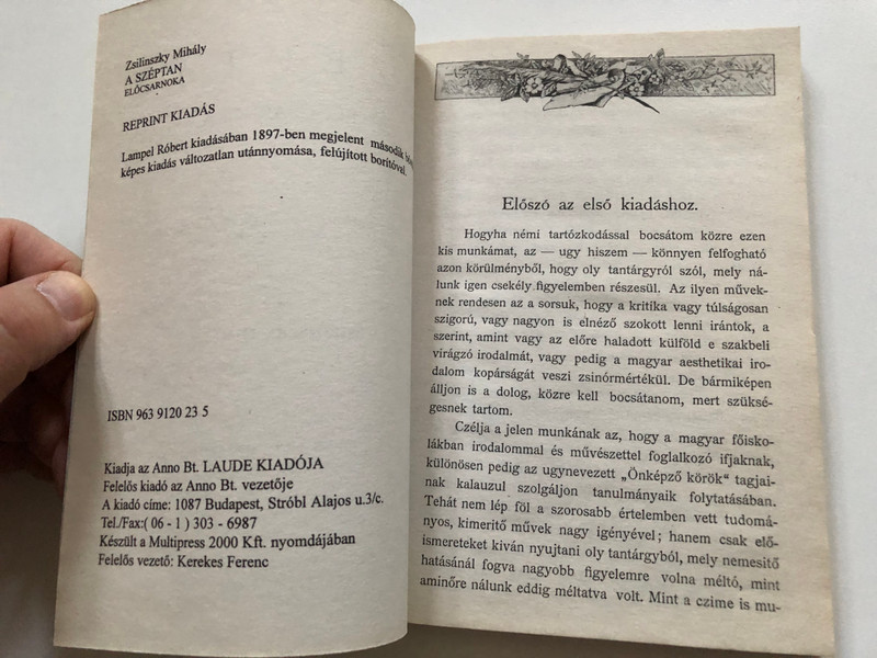A ​széptan előcsarnoka - Zsilinszky Mihály  Anno Bt. Laude Kiadója 2000  Paperback (9639120235)