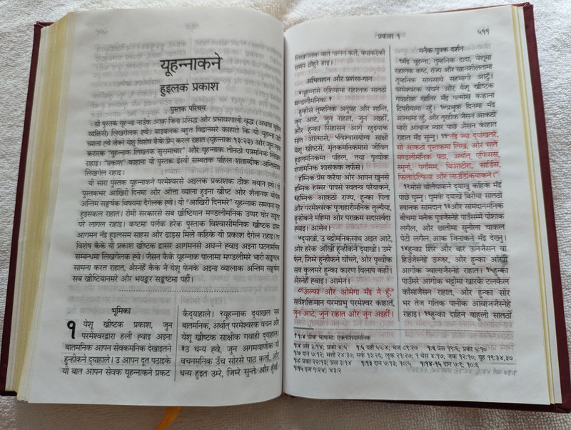 The Sonaha New Testament / A language of Nepal / Words of Christ in Red / Golden Edges / Hardcover / NBS-2020-1M SNA 263 (9789937864879)