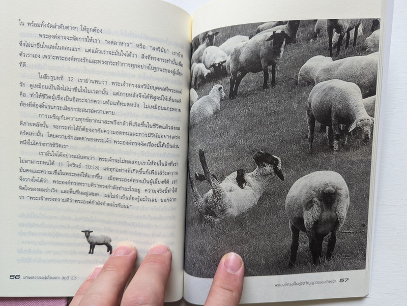 A Shepherd Looks At Psalm 23 (Thai Language Edition) - บทเพลงของผู้เลี้ยงแกะ สดุดี 23 (9786167655222)