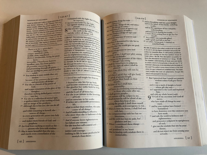 The Access Bible / New Revised Standard Version with Apocrypha / A resource for beginning Bible students / Oxford University Press 1999 / Paperback (0195282175)