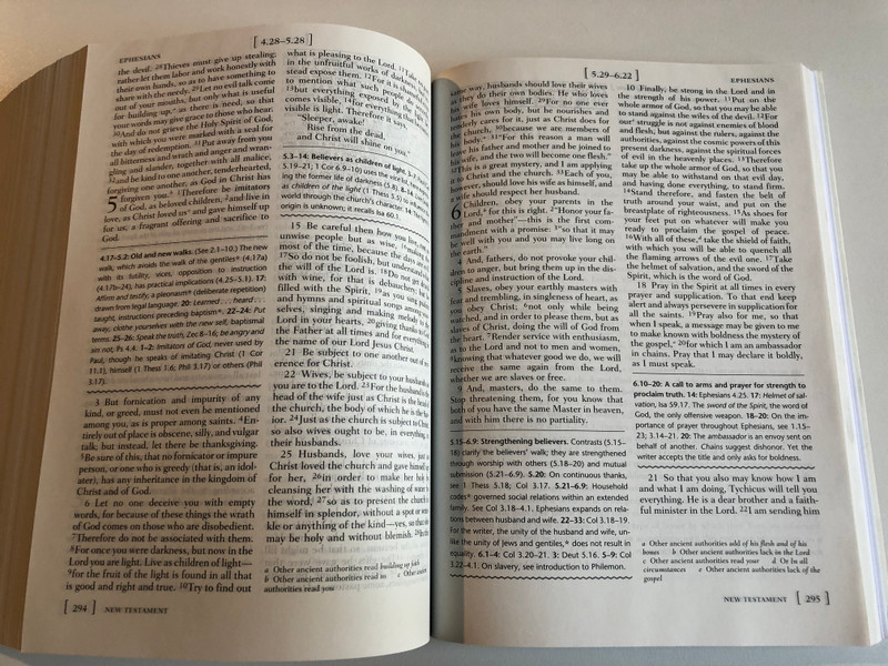 The Access Bible / New Revised Standard Version with Apocrypha / A resource for beginning Bible students / Oxford University Press 1999 / Paperback (0195282175)