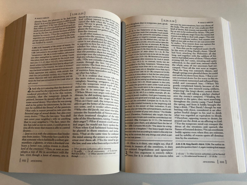 The Access Bible / New Revised Standard Version with Apocrypha / A resource for beginning Bible students / Oxford University Press 1999 / Paperback (0195282175)