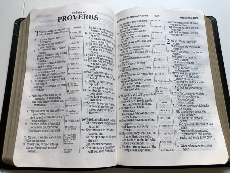 Giant Print CENTER-COLUMN REFERENCE BIBLE / New King James Version / Thomas Nelson, 1994 / Leather Cover (9780840708564)
