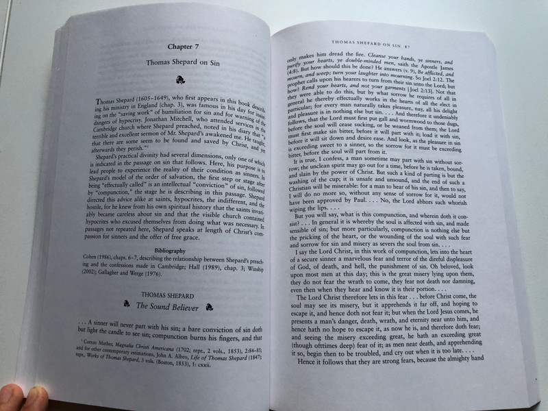 Puritans in the New World: A Critical Anthology / Princeton University Press, 2004 / Paperback (9780691114095)