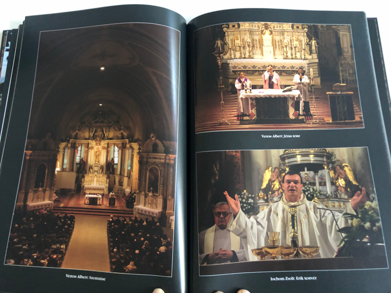 EGÉSZEN SZÉP VAGY CSÍKSOMLYÓI SZŰZ ANYÁNK!  CSÍKSOMLYÓI FOTÓALBUM CSABA TESTVÉR IMÁIVAL ÉS ELMÉLKEDÉSEIVEL  Dévai Szent Ferenc Kiadó, 2015  Hardcover (9786158012621)