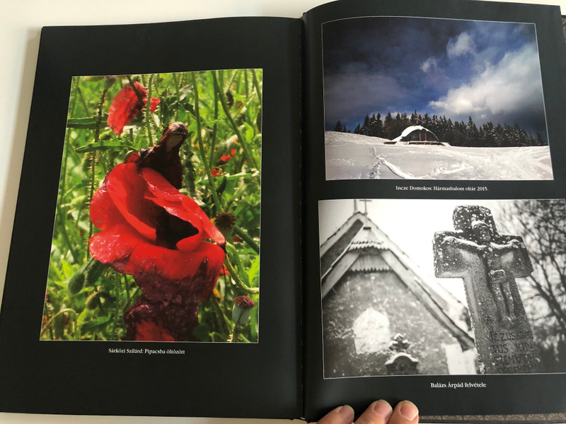 EGÉSZEN SZÉP VAGY CSÍKSOMLYÓI SZŰZ ANYÁNK!  CSÍKSOMLYÓI FOTÓALBUM CSABA TESTVÉR IMÁIVAL ÉS ELMÉLKEDÉSEIVEL  Dévai Szent Ferenc Kiadó, 2015  Hardcover (9786158012621)
