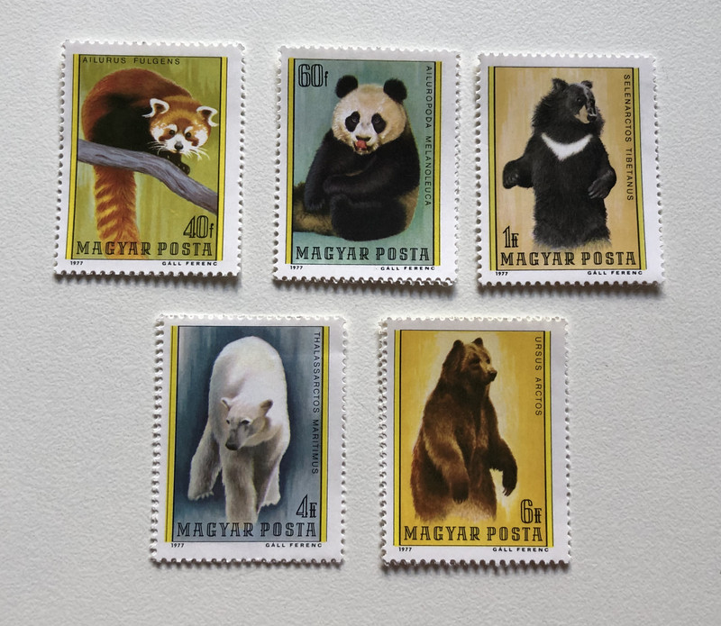 MAGYAR POSTA / AILURUS FULGENS - AILUROPODA MELANOLEUC - SELENARCTOS TIBETANUS - THALASSARCTOS MARITIMUS - URSUS ARCTOS / 1977 GALL FERENC / Stamp (stampshun018)