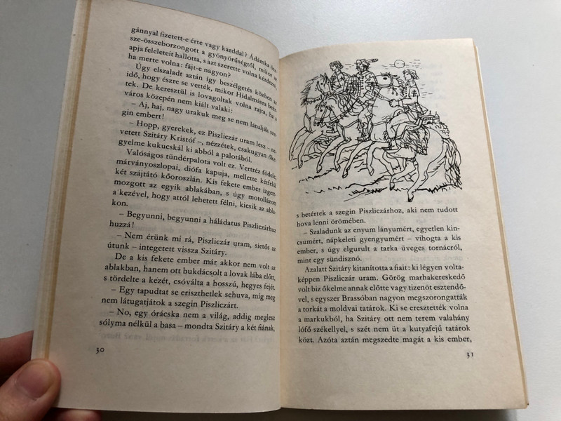 MORA FERENC / RAB EMBER FIAL / MORA FERENC KÖNYVKIADÓ BUDAPEST, 1979 / Paperback (9631115976)