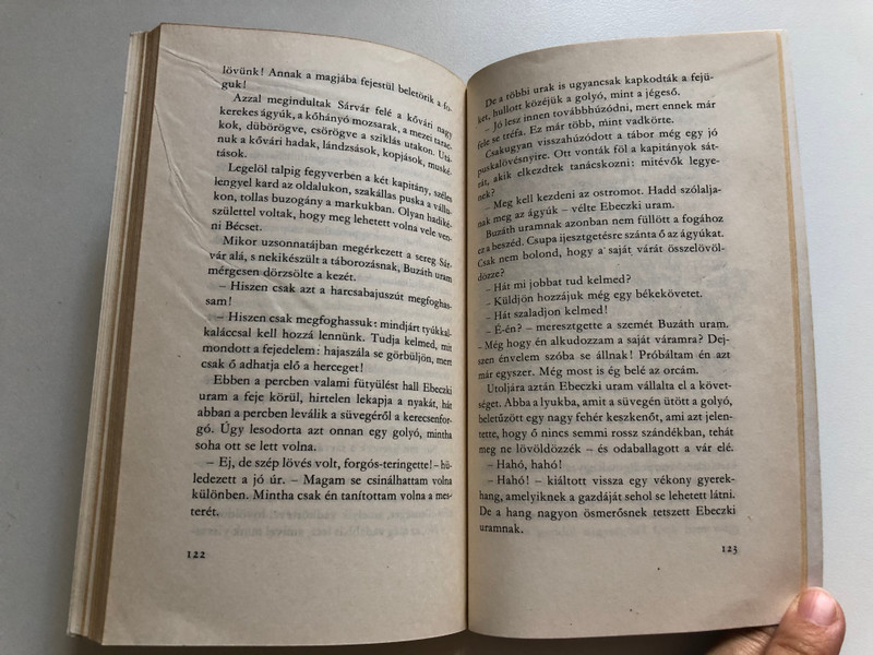 MORA FERENC / RAB EMBER FIAL / MORA FERENC KÖNYVKIADÓ BUDAPEST, 1979 / Paperback (9631115976)