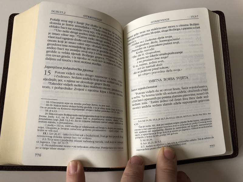 Novi Zavjet i Psalmi / The New Testament and The Book of Psalms in Croatian Language / Brown / Leather bound / Golden Edges / HBD 2008 / Translated from original languages by Lj. Rupčić (9789536709649)