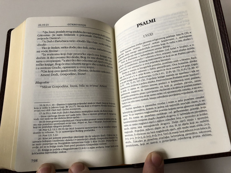 Novi Zavjet i Psalmi / The New Testament and The Book of Psalms in Croatian Language / Brown / Leather bound / Golden Edges / HBD 2008 / Translated from original languages by Lj. Rupčić (9789536709649)