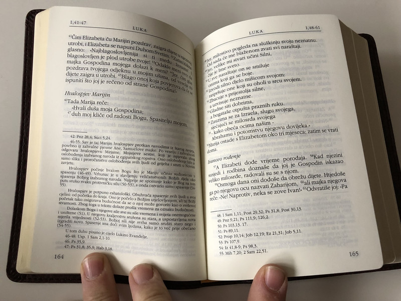 Novi Zavjet i Psalmi / The New Testament and The Book of Psalms in Croatian Language / Brown / Leather bound / Golden Edges / HBD 2008 / Translated from original languages by Lj. Rupčić (9789536709649)