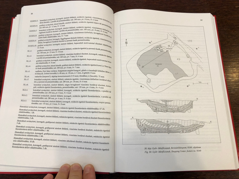 KELTA FALU GYŐR HATÁRÁBAN - A MÉNFŐCSANAKI KÉSŐ VASKORI TELEPÜLÉS  A CELTIC VILLAGE IN NORTH-WEST HUNGARY  Tankó Károly  ARCHAEOLINGUA - STUDIEN ZUR EISENZEIT IM OSTALPENRAUM  Hardcover (9786155766411)