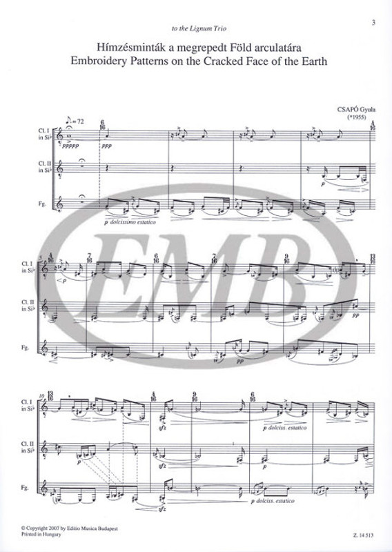 Csapó Gyula: Embroidery Patterns on the Cracked Face of the Earth for Two Clarinets and Bassoon | Score and Parts