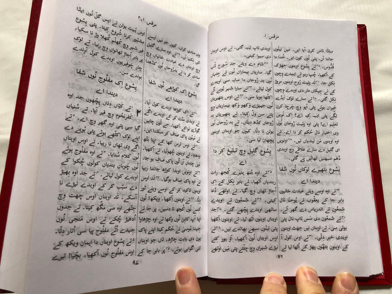 Punjabi New Testament Revised 2020 Edition / Pakistan (9789692059273)