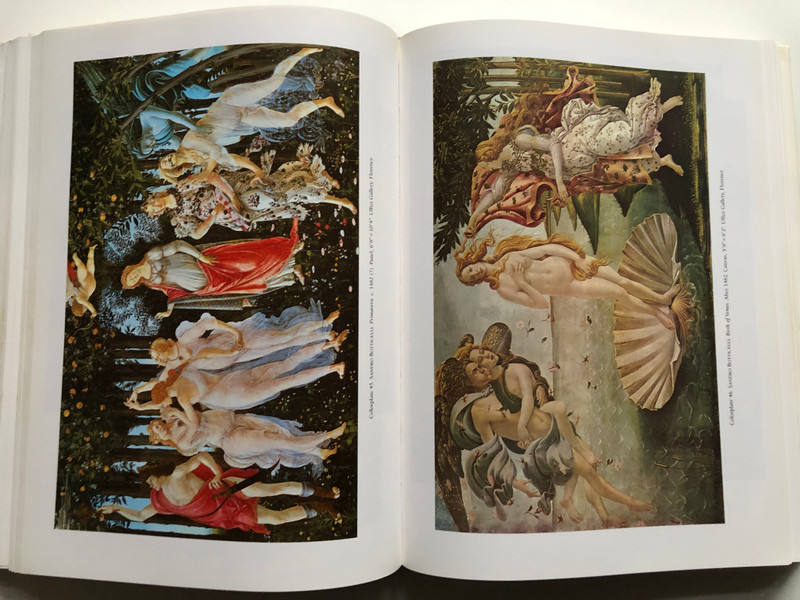 HISTORY OF ITALIAN RENAISSANCE ART / PAINTING, SCULPTURE, ARCHITECTURE / FREDERICK HARTT / Thames & Hudson Ltd, 1988 / Hardcover (9780500235102)