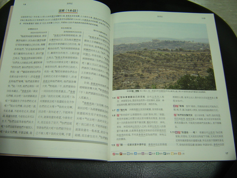 Chinese Union Study Bible - Book of Ruth (with CUNP text, Shen Edition)