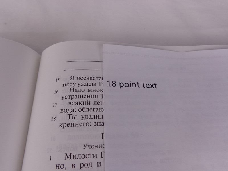 Russian Bible Black Hardcover / 18pt Large Print / Pulpit Bible / Great for the Elderly / Wide Margins