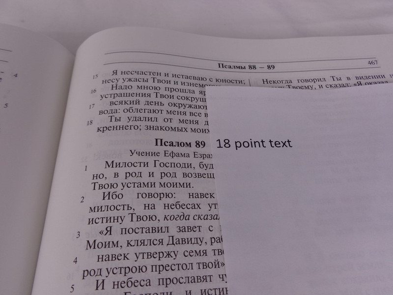 Russian Bible Black Hardcover / 18pt Large Print / Pulpit Bible / Great for the Elderly / Wide Margins