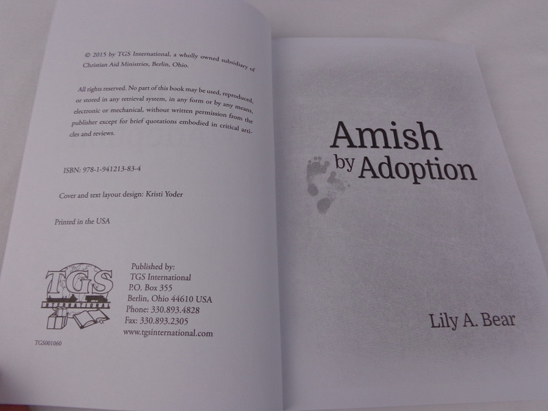 Amish by Adoption by Lily A. Bear