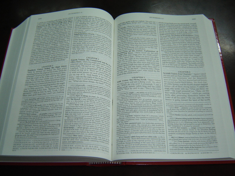 New American Bible (NAB) Revised Edition /  Catholic Bible with Study Notes, Maps and Deuterocanonical Books / 2016 Print