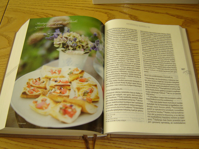 Lithuanian Bible for Ladies - Sventasis Rastas moterims / Ecumenical Edition with Colored Illustrations