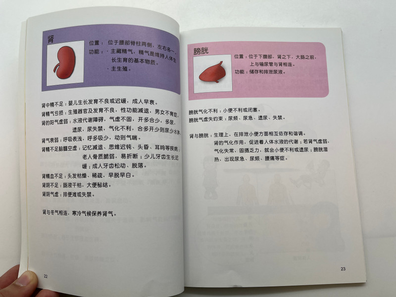 五行五色：蔬果养生精粹 / Five Elements and Five Colors: The Essence of Healthy Fruits and Vegetables / Wu Xing Wu Se / Asiapac Books / Paperback (9789812295897)