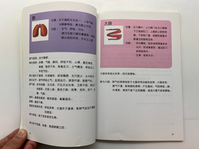 五行五色：蔬果养生精粹 / Five Elements and Five Colors: The Essence of Healthy Fruits and Vegetables / Wu Xing Wu Se / Asiapac Books / Paperback (9789812295897)