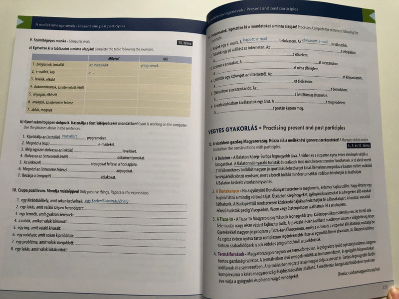 Rendszerező magyar nyelvtan sok-sok példával és gyakorlattalv / Systematic Hungarian Grammar with Many Examples and Exercises / Volume 1 (9789636260774)