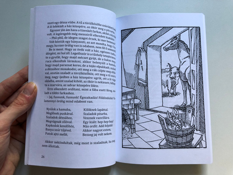 Magyar mesék rózsás kertje / Húsz eredeti magyar népmese kiszínezhető rajzokkal (9789634093909)