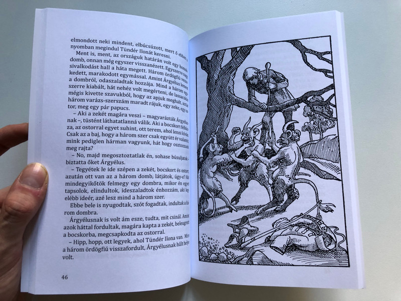 Magyar mesék rózsás kertje / Húsz eredeti magyar népmese kiszínezhető rajzokkal (9789634093909)