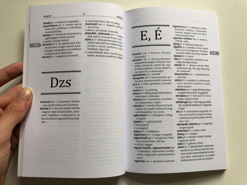 Régi Szavak Kisszótára - A Dictionary of Old Words for Students (9789634094005)