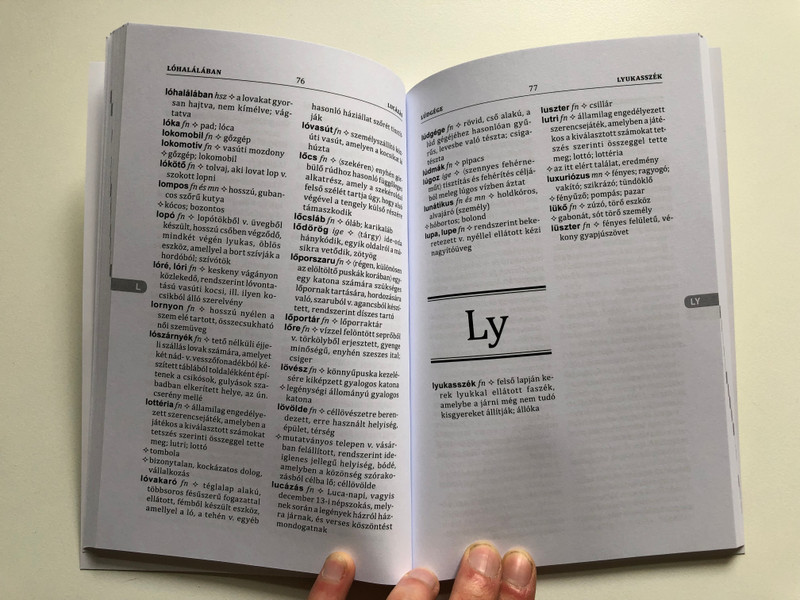 Régi Szavak Kisszótára - A Dictionary of Old Words for Students (9789634094005)