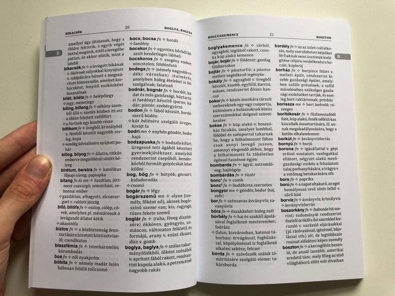 Régi Szavak Kisszótára - A Dictionary of Old Words for Students (9789634094005)